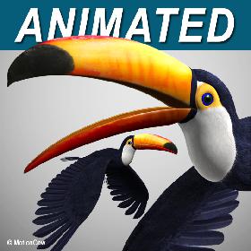 Toucan A   Flying